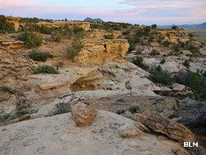 Pinon and juniper woodland on a sanstone landscape in La Lena Wilderness Study Area
