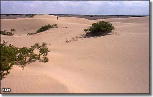 Map of the Mescalero Sands North Dune OHV site area