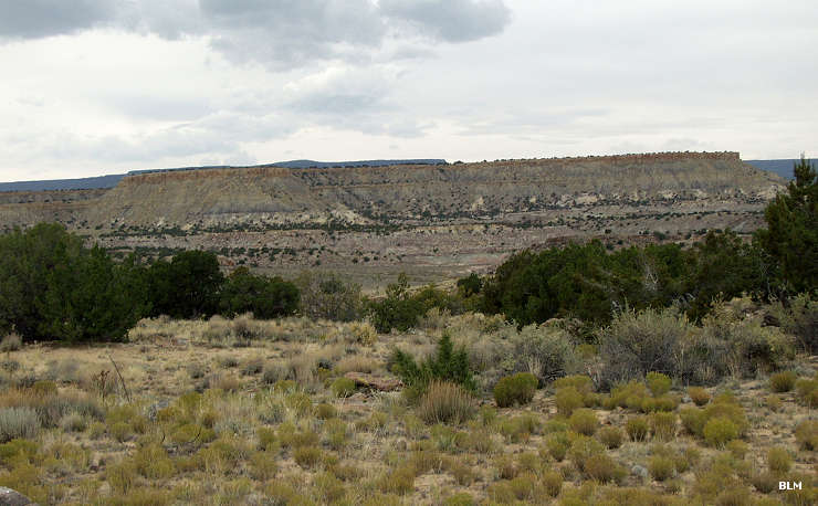 Near the Ojito Wilderness Study Area