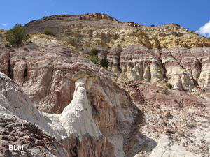 A view in the Ojito Wilderness Study Area