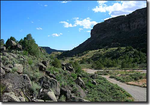 On the west side of the river near the Taos Junction Bridge