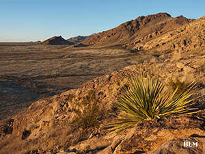 The stark Chihuahuan desert and mountains of the Pena Blanca Wilderness Study Area