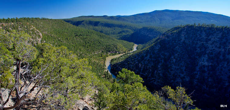 A view down on the Chama River canyon in the Chama River Canyon Wilderness