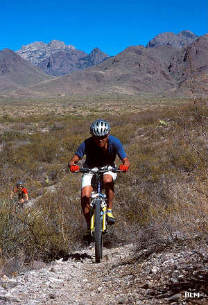 Sierra Vista Trail