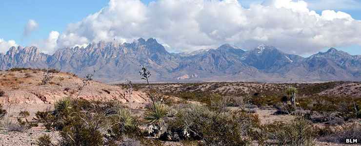A view of the Organ Mountains from the west