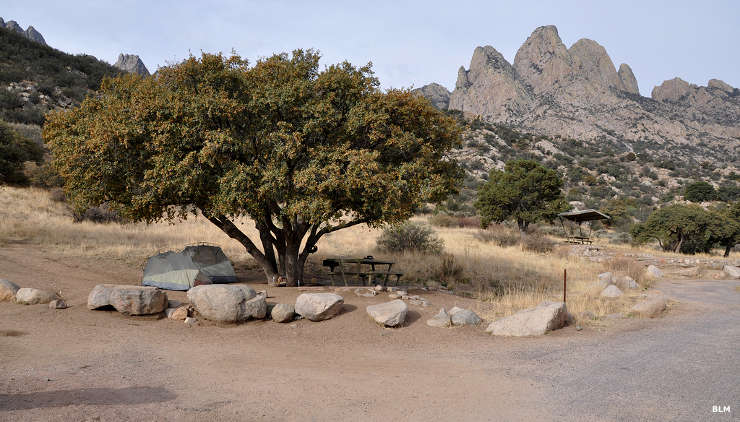 A campsite in Aguirre Spring Campground
