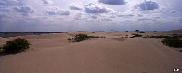 Mescalero Sands North Dune OHV Site