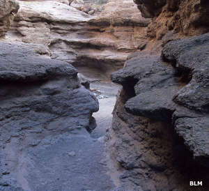 A view deep in San Lorenzo Canyon