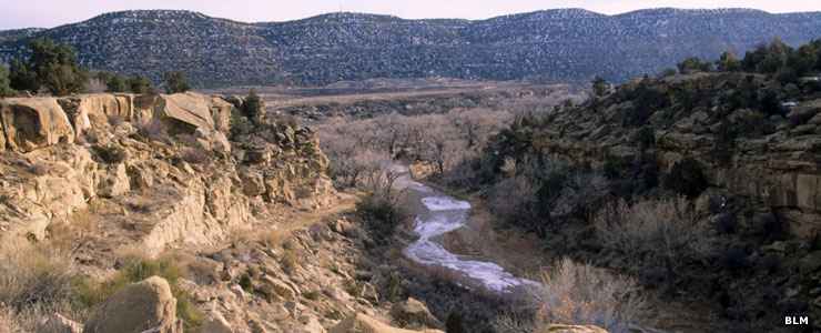 A view of the stream in the canyon in the Simon Canyon Area of Critical Environmental Concern