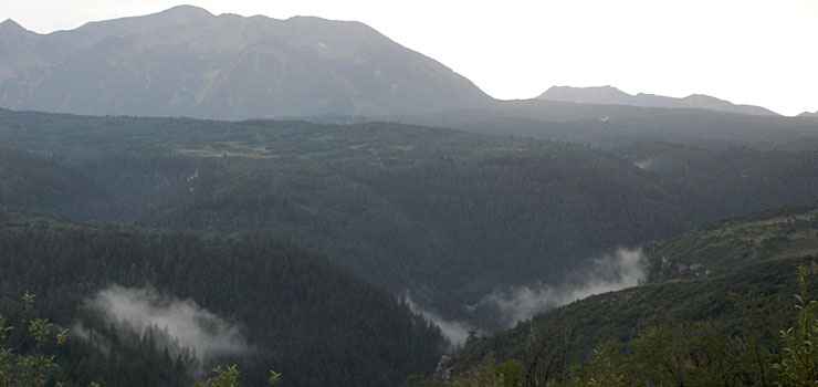 A cool morning in Carson National Forest