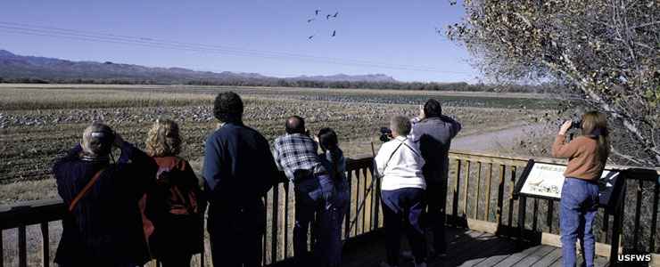 Birdwatchers at Bosque del Apache National Wildlife Refuge