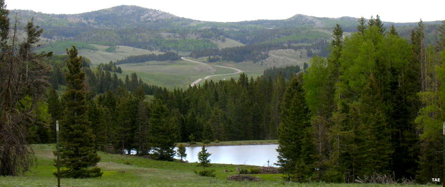 Looking across a small lake to an evergreen-filled valley in the Tusas Mountains