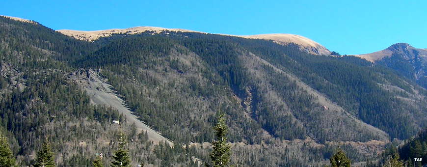 Looking east across the valley to the north ridge line of Wheeler Peak