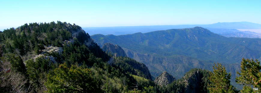 Looking down into the Sandia Mountains in Cibola National Forest