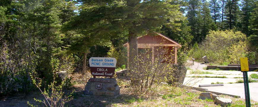 The Balsam Glade Picnic Ground sign on the east side of Sandia Mountain