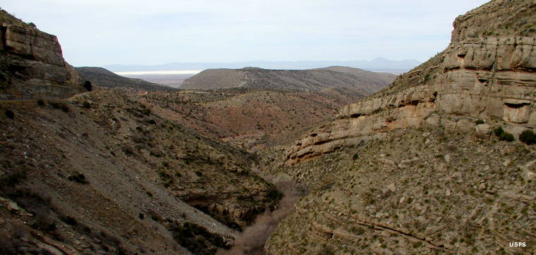 Looking down a near-barren canyon in Lincoln National Forest
