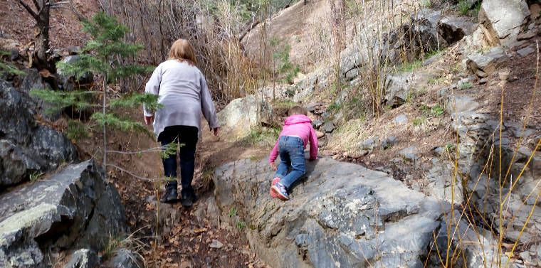 Hiking on a trail in Santa Fe National Forest