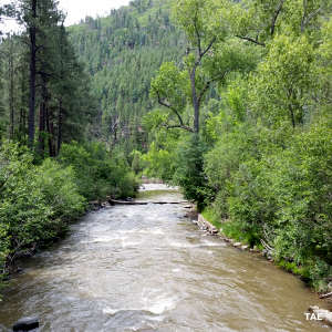 Looking downstream on the Pecos River