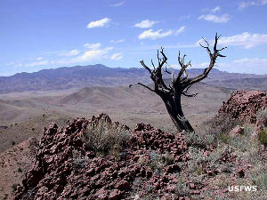 View at the top of Chupadera Mountain