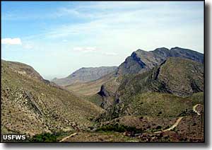 A long-distance view of the San Andres Mountains