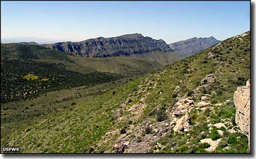 A mountain desert scene at San Andres National Wildlife Refuge