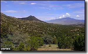 A view on Sevilleta National Wildlife Refuge