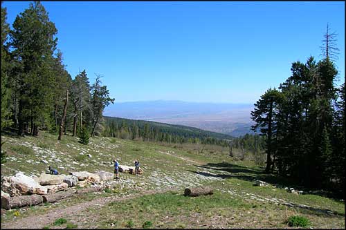A trail leading north from the Sandia Crest Scenic Byway