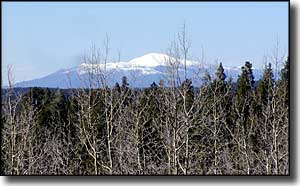 Sierra Blanca rises far to the north of the Sunspot Scenic Byway