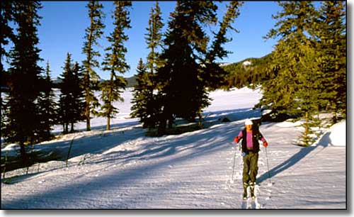 Valles Caldera National Preserve trail map
