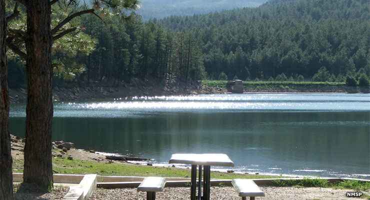 Picnic table at one of the campsites at Morphy Lake State Park