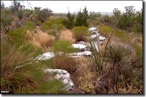 The Gypsum Hills habitat of southern Kansas recreated at The Living Desert Zoo and Gardens State Park