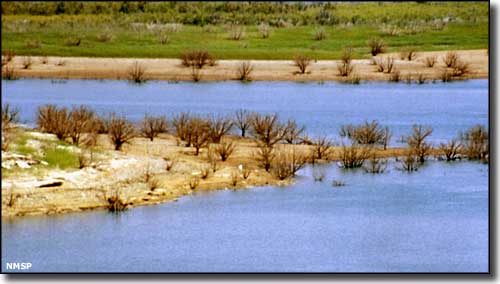 Along the shore of Santa Rosa Lake