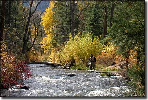 Fishing the Cimarron