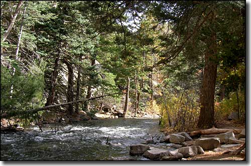 The Cimarron at the foot of the palisades