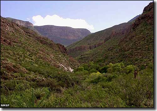 Dog Canyon, from Oliver Lee Memorial State Park