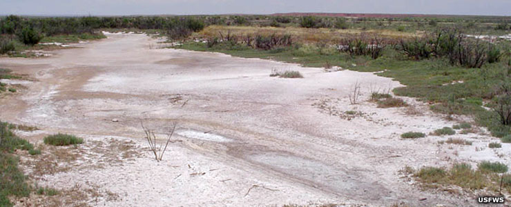 A view of Salt Creek itself in Salt Creek Wilderness