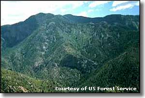 A view of forested mountains and valleys in the Blue Range Wilderness