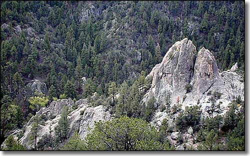 Looking downhill over forest and granite spires in Gila Wilderness