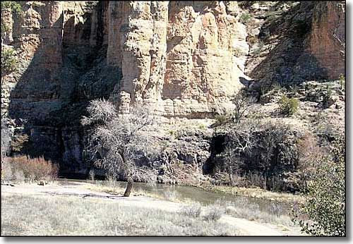 A stream meanders next to a sandstone cliff in Gila Wilderness Area