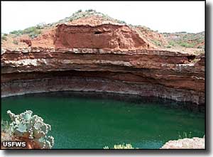 A sinkhole in Salt Creek Wilderness