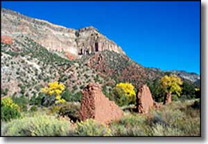 Dome Wilderness