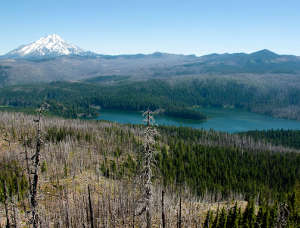 Marion Lake with Mount Jefferson in the distance