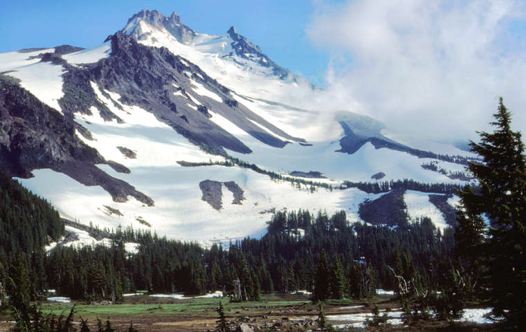 The Mount Jefferson stratovolcano rises above the forest