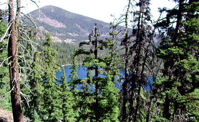 IA view of forest and rim in the area of the caldera in Mountain Lakes Wilderness