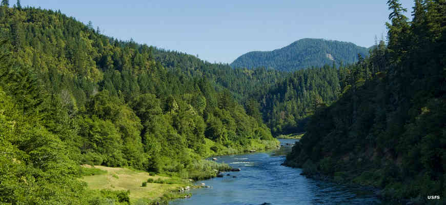 The Wild Rogue River