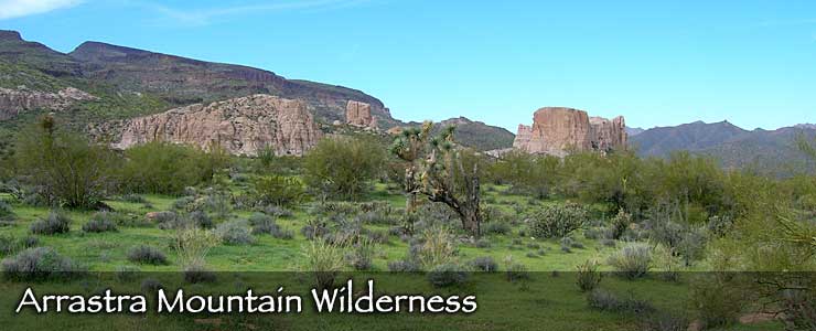 Open desert with saguaros and ocotillos at Arrastra Mountain Wilderness