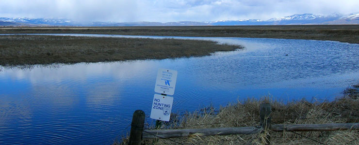 Looking north across Mud Lake at Bear Lake National Wildlife Refuge