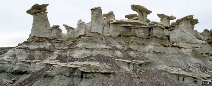 Hoodoos and other eroded formation in Bisti-DeNaZin Wilderness
