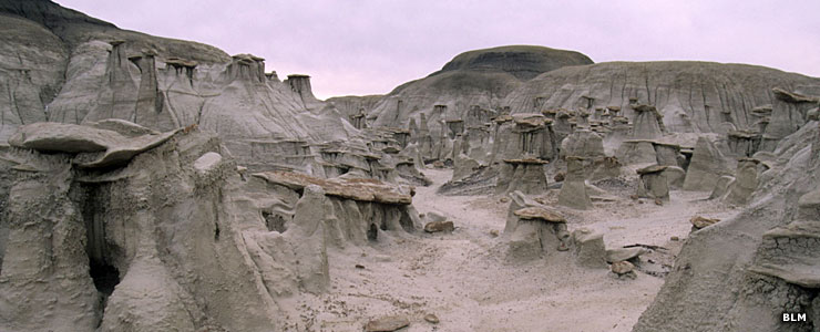 Hoodoos at Bisti-DeNaZin Wilderness