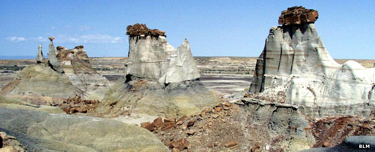 Hoodoos in Bisti-DeNaZin Wilderness